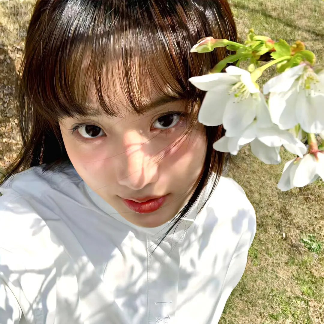 玛格达娜的驴子