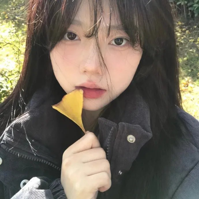 女子十二不设防